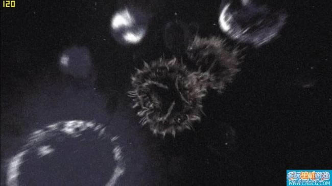 ������Σ��5���Ͷ�������ͼ