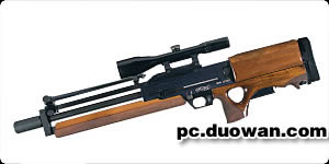 ��ʹ���ٻ�6���ִ�ս��2���ѻ���ǹƪ��Walther WA 2000