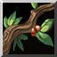 DotA ���վƹ� - ��ҹħ�� Ӣ�۹���