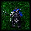 DotA ���ƹ� - ��֮��ʿ Ӣ�۹��� 