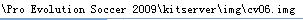ʵ������2009 ������¼�����ָ���ƽ�̳�