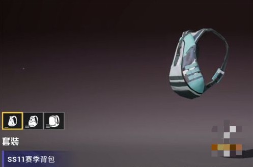 ����ƽ��Ӣ��SS11��ѵ��װͼ��һ��