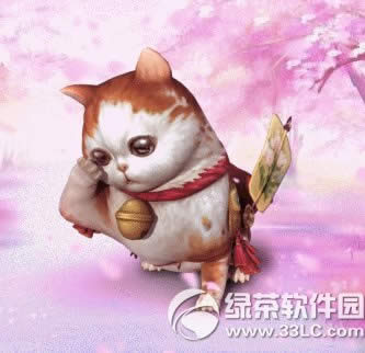 斗战神家肥猫来福怎样获得 萌猫坐骑家肥猫来福属性图