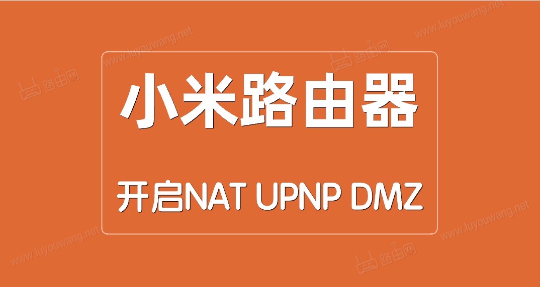 С()·NAT/UPNP/DMZ - վ