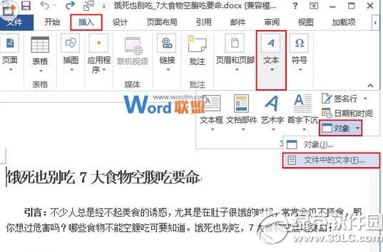 word2013ôϲĵ word2013ϲĵ1