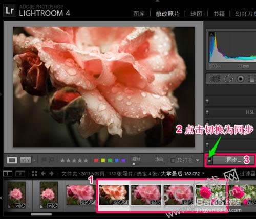 adobe photoshop lightroomôƬ