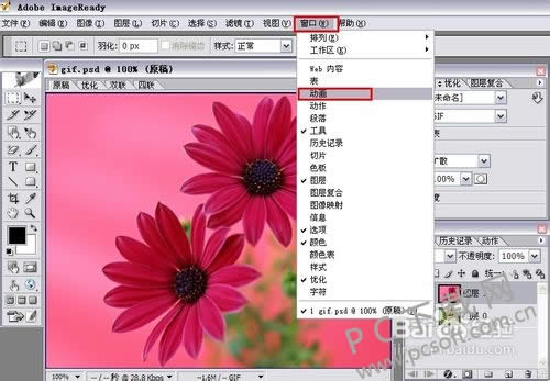 adobe imageready cs2ôgif