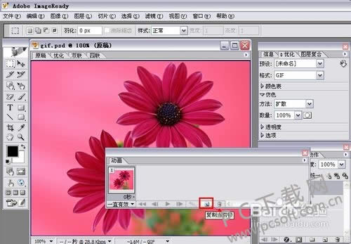 adobe imageready cs2ôgif