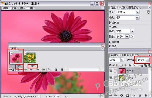 adobe imageready cs2ôgif