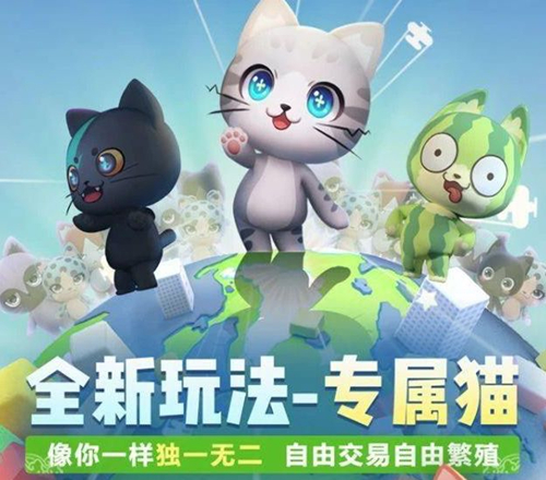 ��һ����׽������ʼ������������ôץ