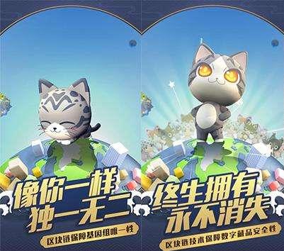 ��һ����׽��������è�޷���ȡ