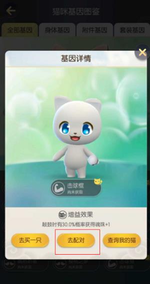 ��һ����׽����è����ʲô��