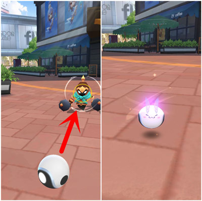 ��һ����׽����ϡ�����鲶ץ����