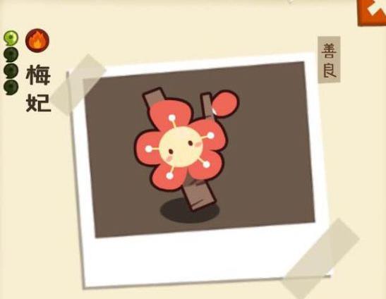 ���������ʡ�÷�����������ô��