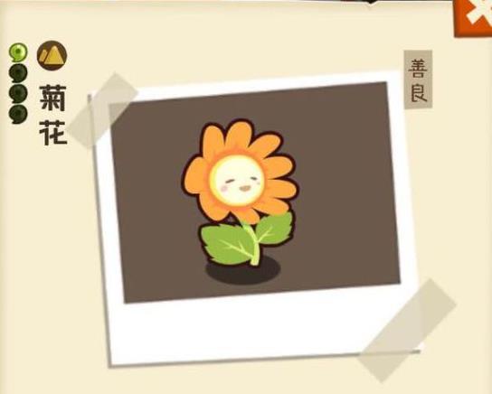 ���������ʡ�÷�����������ô��