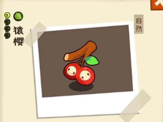 ���������ʡ�����԰�����ô��