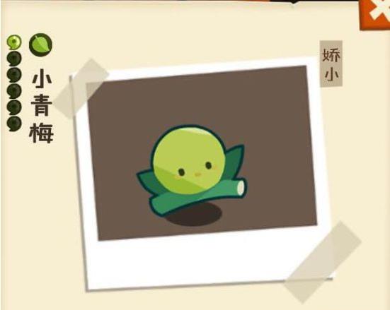 ���������ʡ���÷���������ô��