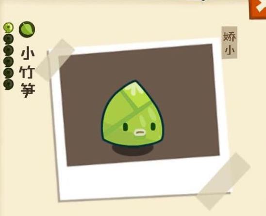 ���������ʡ���÷���������ô��