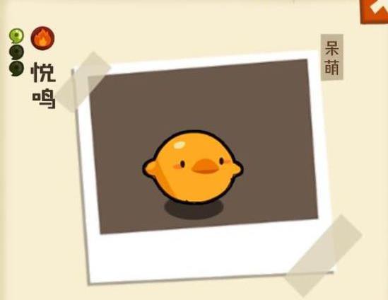 ���������ʡ������׵������ô��