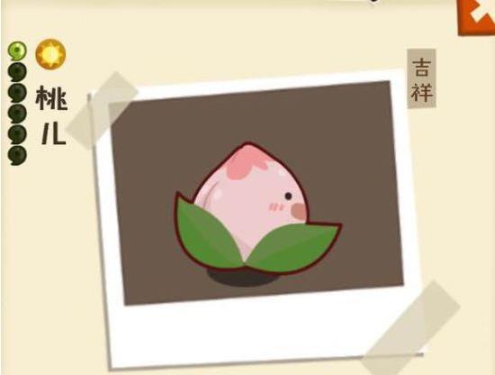 ���������ʡ���»�������ô��