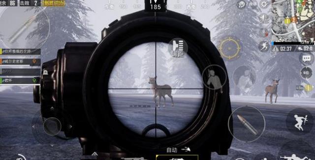 �����������̼�ս�����ɹ���ɱ5ֻ¹������