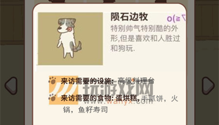 ΢�Ŷ��������ʯ������������