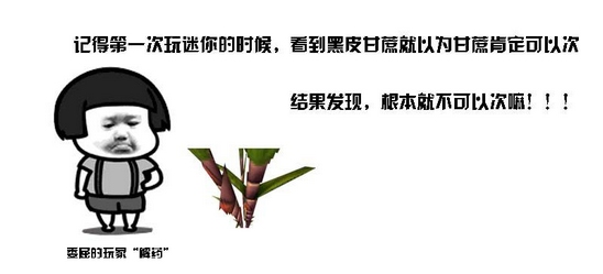 ���������硷2019���˽ڻ