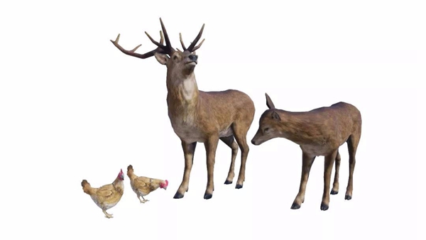 �����������̼�ս�����ɹ���⿿���5��������