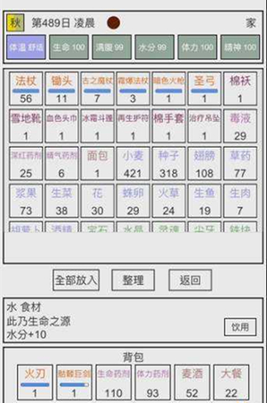 《魔塔冒险者》完美通关小技巧