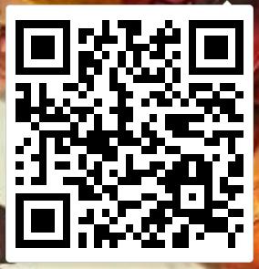 ���ҽ�MT4�����VS������