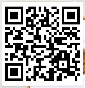 ���ҽ�MT4�����������