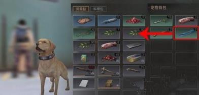 ������֮�󡷳��ﱳ����ô��