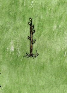 ��һСʱ�������������ô��