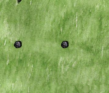 ��һСʱ�������������ô��