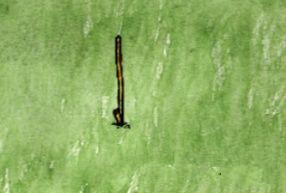 ��һСʱ�������������ô��