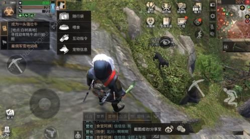 《明日之后》搜寻犬不去搜寻捡物品怎么办