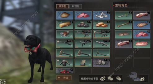 《明日之后》搜寻犬不去搜寻捡物品怎么办