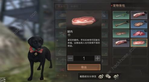 《明日之后》搜寻犬不去搜寻捡物品怎么办