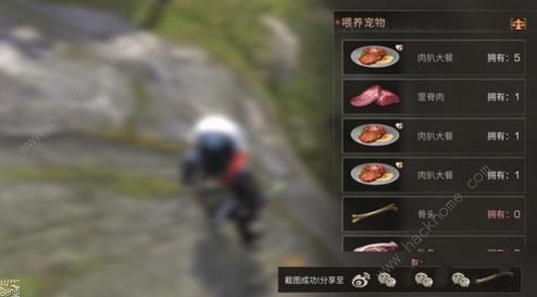 《明日之后》搜寻犬不去搜寻捡物品怎么办