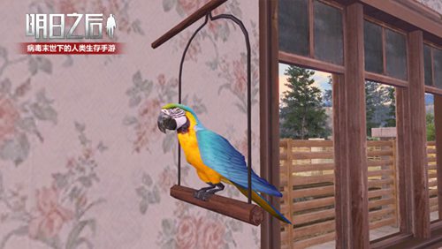 ������֮��������ôѱ��