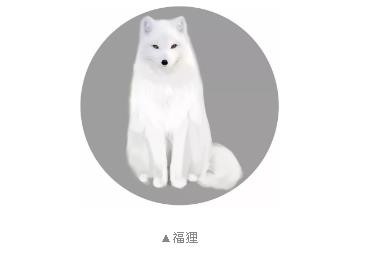 《楚留香》手游激萌宠物系统介绍