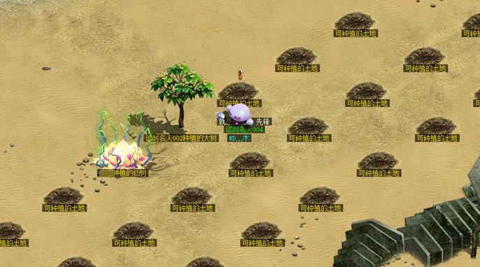 ���ʵ�������ֲ�����ֻ