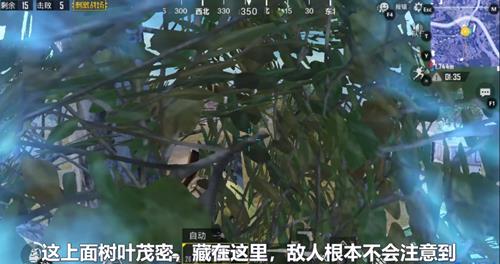 �����������̼�ս����ѧУҰ���������˼���