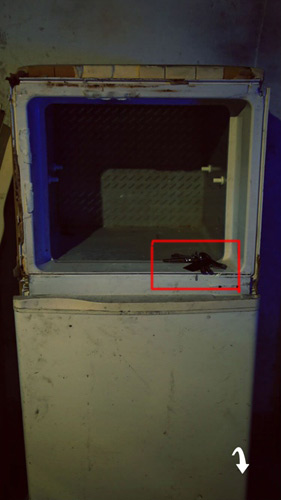 ��������������һ��ͼ�Ĺ���