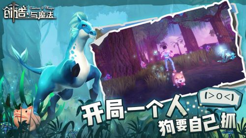 ��������ħ������ӡ���ź���ʯ��ô��