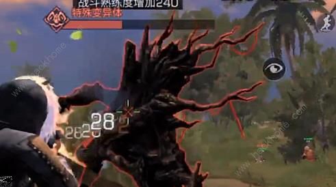 ������֮��ʥ������˹����BOSS�������Լ���