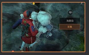 ������֮�󡷺�����ô��