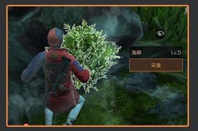 ���ҽ�MT4���۹���սѰ���