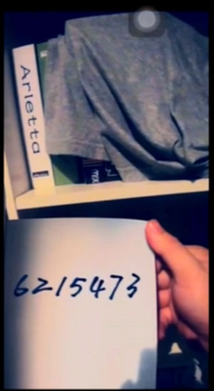 《记忆重构》困兽图文攻略