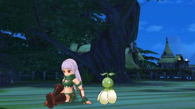 ���ɾ���˵RO������װ�����Խ���